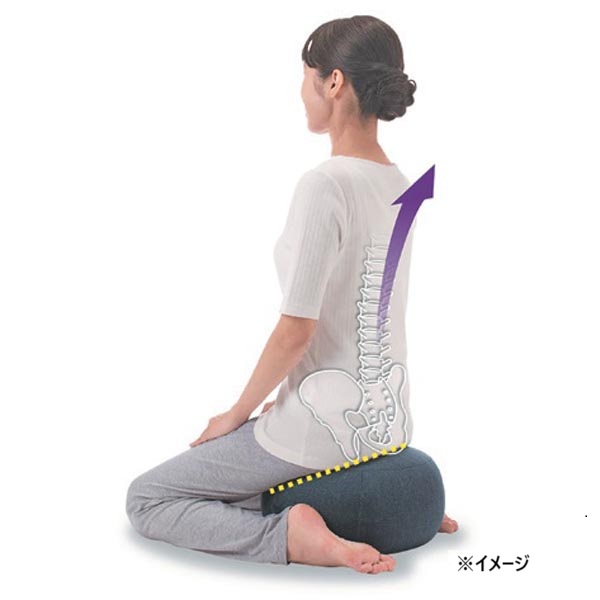 ストレッチもできるクッション YOZA ネイビー