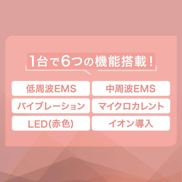 ミーゼ　ニードルリフトブラシ